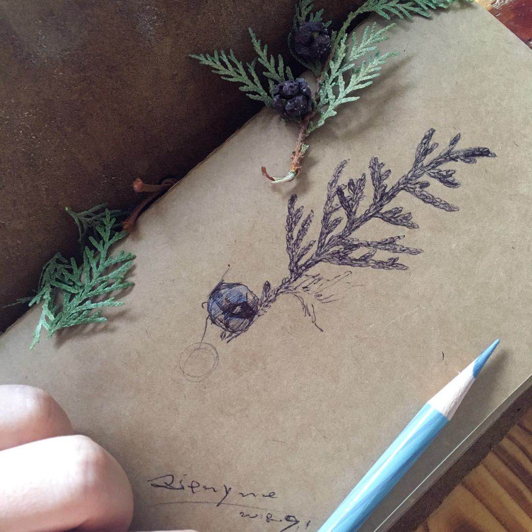 希塔插畫的個人主頁（背景預覽） - 主頁背景設置 - 站酷設計師希塔插畫原創(chuàng)素材 - 站酷ZCOOL