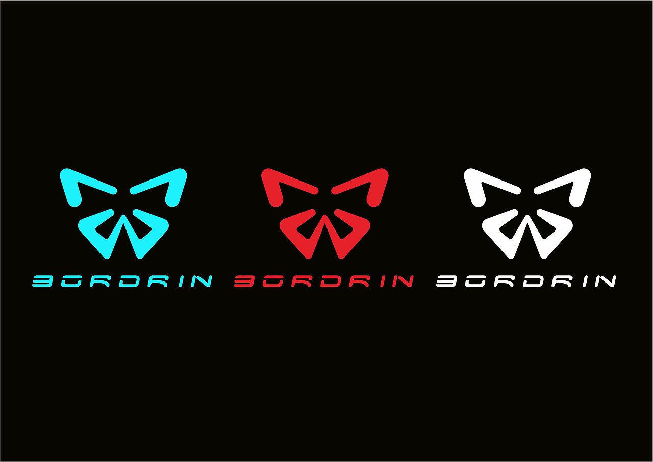 BORDRIN logo（图ZMTAzOTI1MjA4） - Logo - 站酷设计师汪小宠原创素材 - 站酷ZCOOL