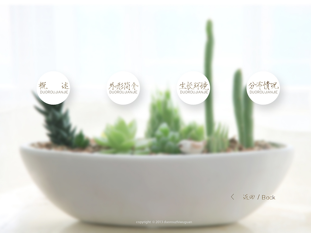 多肉植物馆（图ZMjUxNjAwMzY=） - 运营设计 - 站酷设计师共二亓原创素材 - 站酷ZCOOL