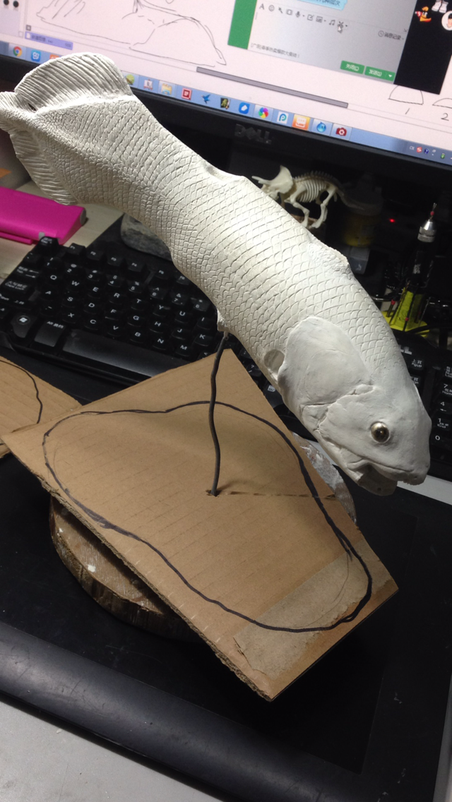 [柳叶刀工作室]腔棘鱼雕塑过程
