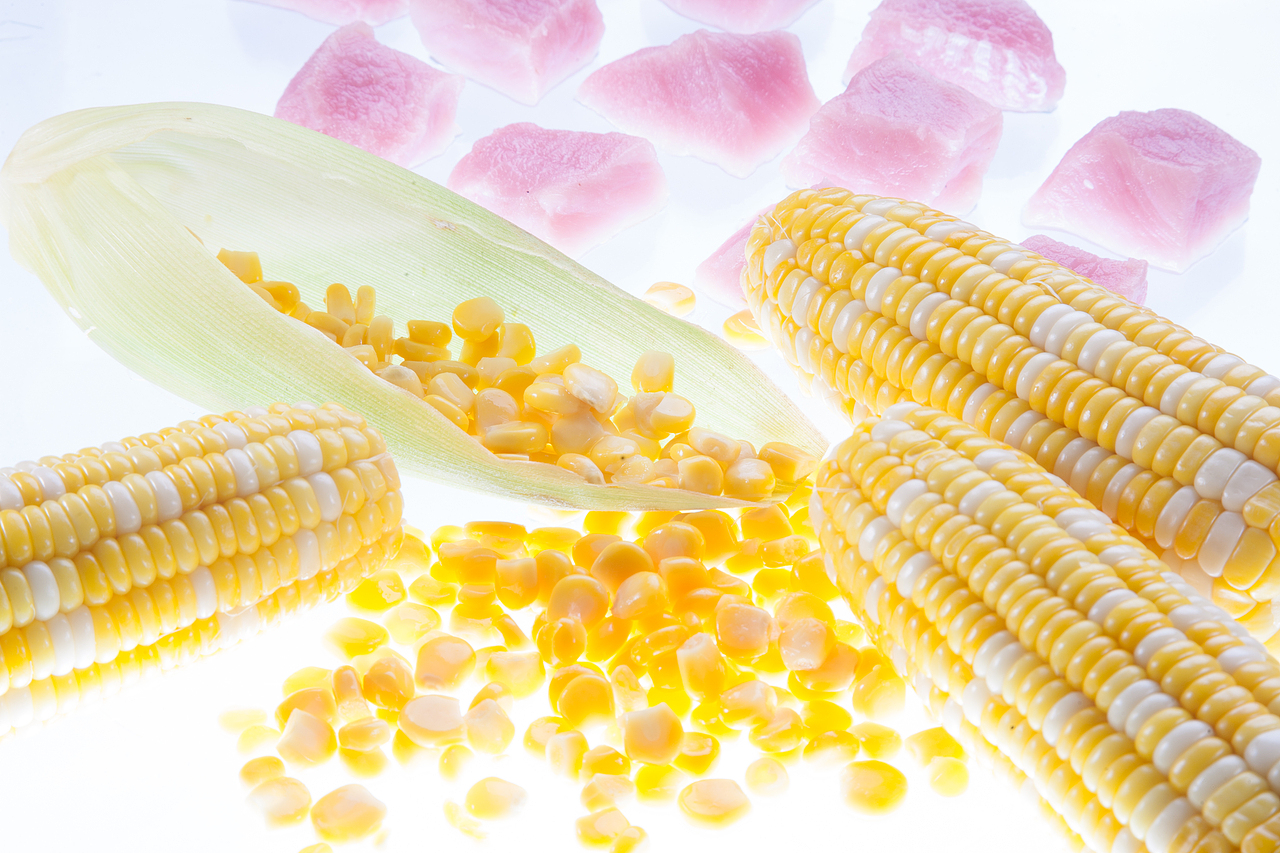 广州专业菜谱摄影专注菜品拍摄美食拍摄公司【领帮食拍