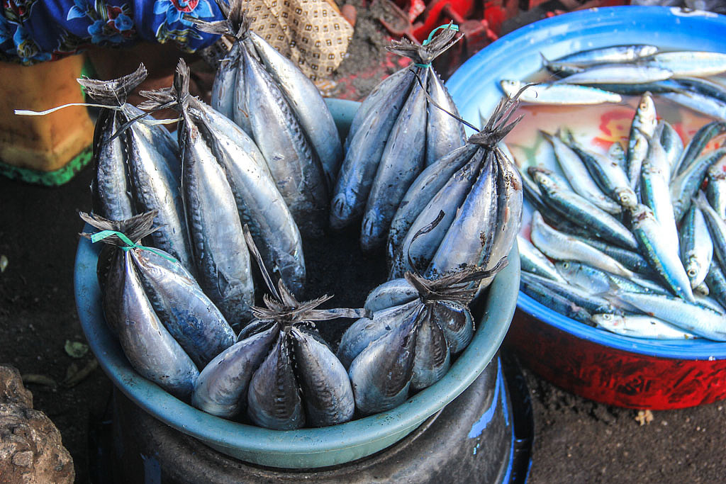 不一样的龙目岛