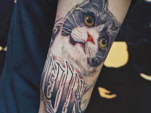 纹身写实风格  猫咪