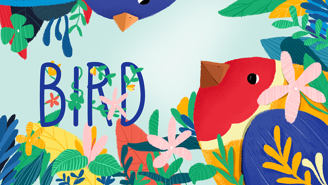 半年运营插画总结