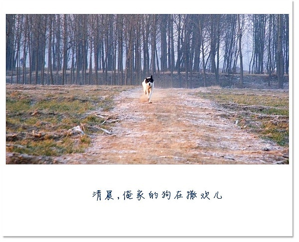 爱好~摄影小卡片（图ZODcwNzgzNg==） - 其他摄影 - 站酷设计师硬笔淡彩原创素材 - 站酷ZCOOL