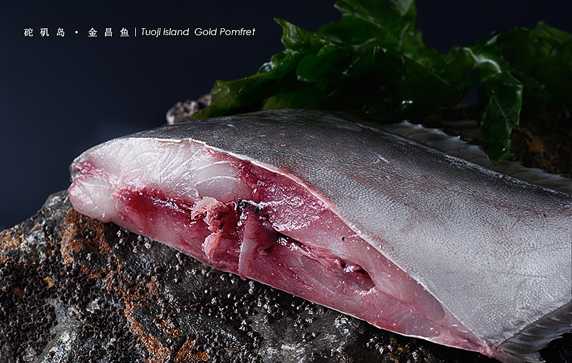 砣矶岛【金鲳鱼、黄花鱼、比目鱼】（图ZNTg0Njc0MDg=） - 产品摄影 - 站酷设计师摄影师董名扬原创素材 - 站酷ZCOOL