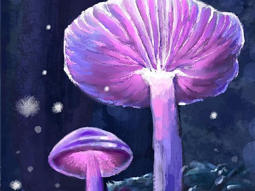 蘑菇（個(gè)人主頁-ZMjgxNTU5MzY=） - 創(chuàng)作習(xí)作 - 站酷設(shè)計(jì)師小川川儂原創(chuàng)素材 - 站酷ZCOOL