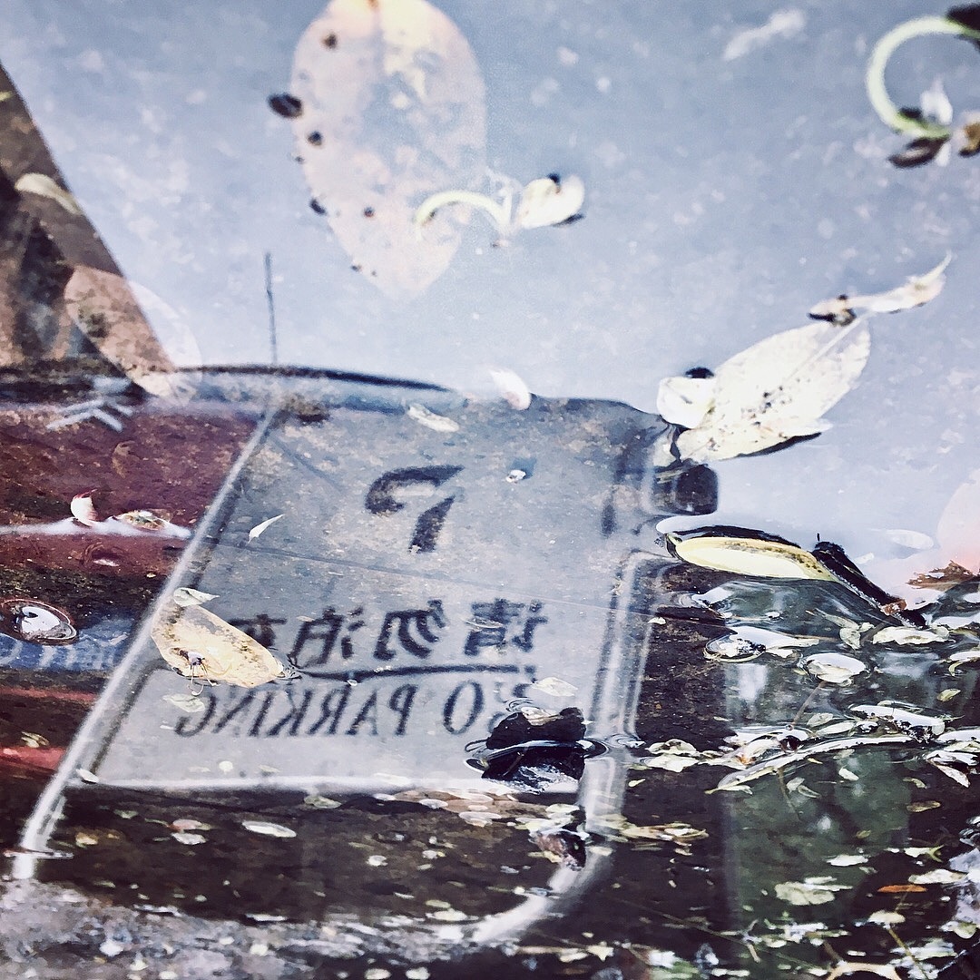雨中（图ZMTI0ODI1OTA4） - 风光摄影 - 站酷设计师仰天大笑出门去3原创素材 - 站酷ZCOOL