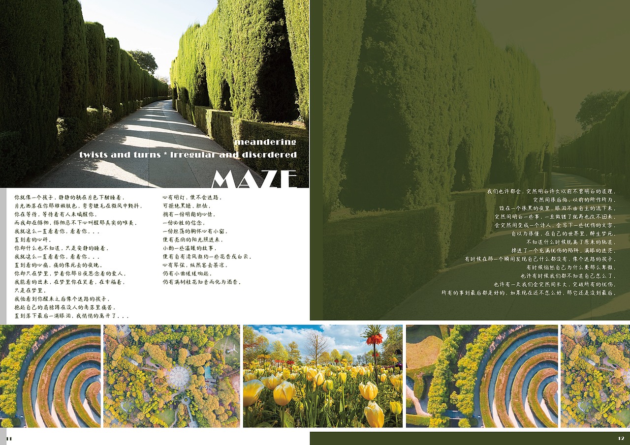 《编排与版式》优秀课程作业—海报设计03(2019视传)