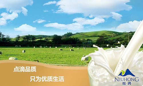 纽鸿羊奶（图ZODQwNjIyNjg=） - 宣传物料 - 站酷设计师小天使1号原创素材 - 站酷ZCOOL