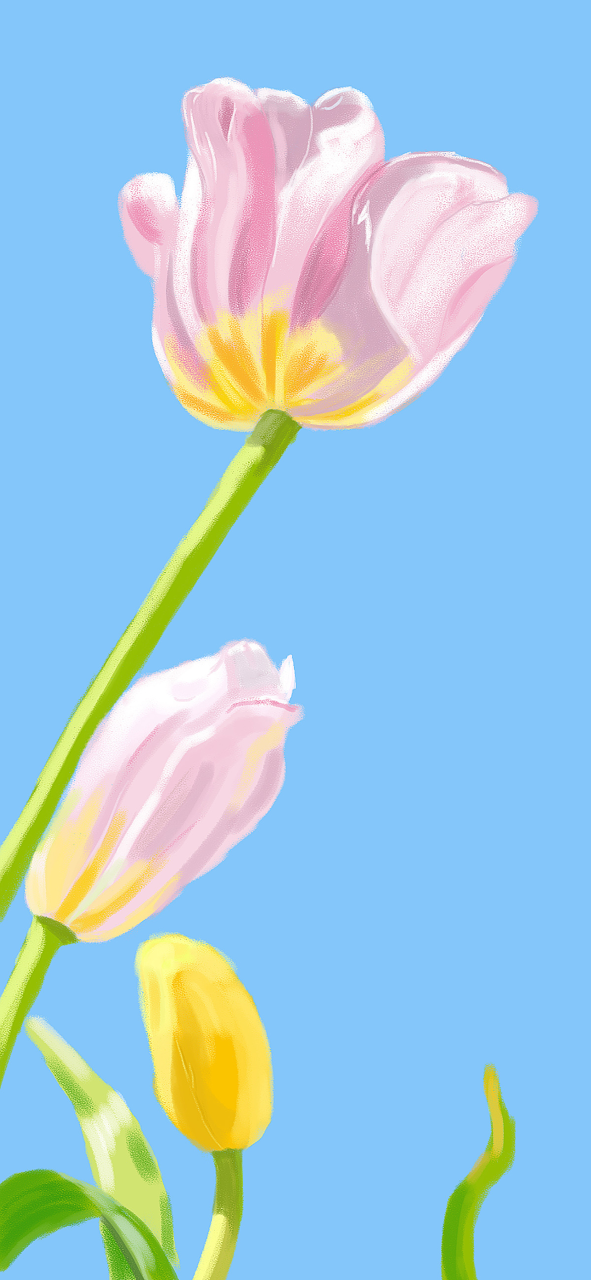 30天插画打卡练习