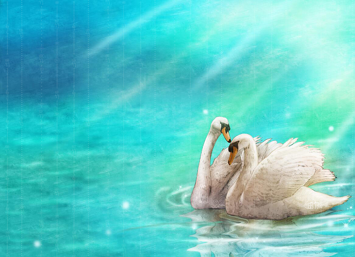 恩爱的天鹅--动物插画