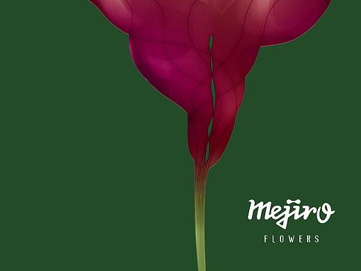 「Mejiro Flowers」视觉设计／「Mejiro Flowers」VI
