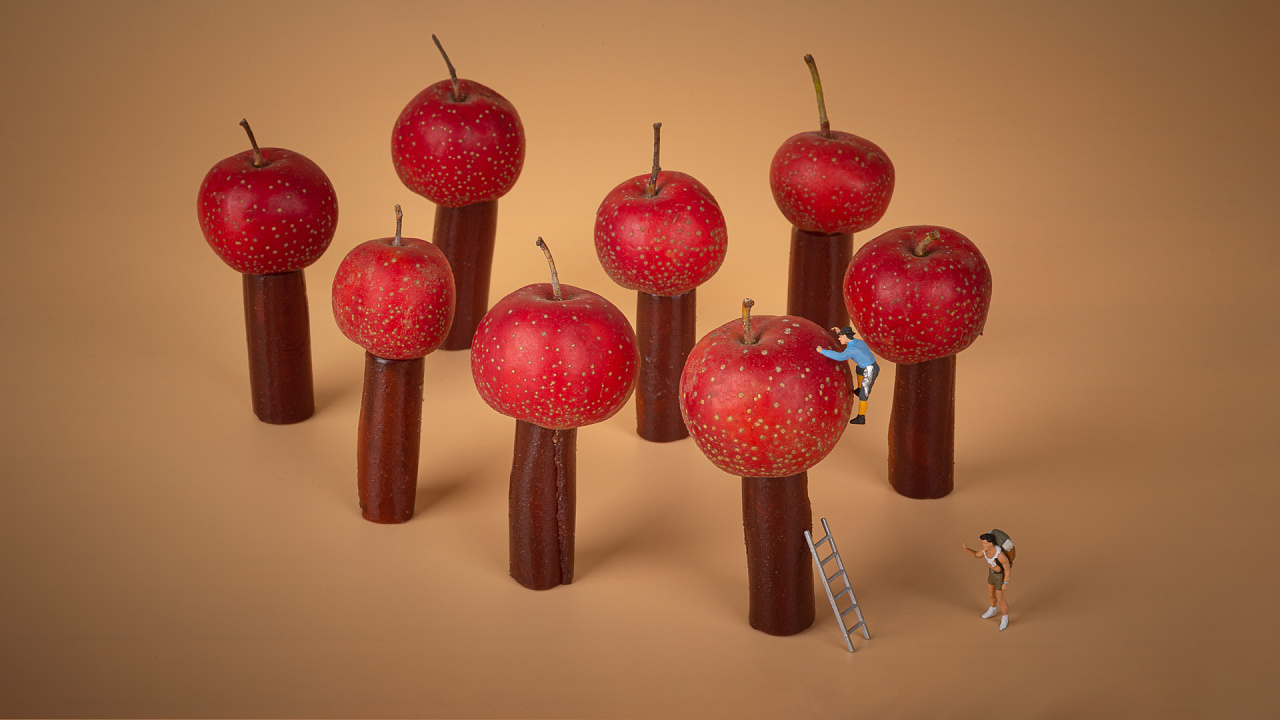 商业摄影 创意摄影 山楂