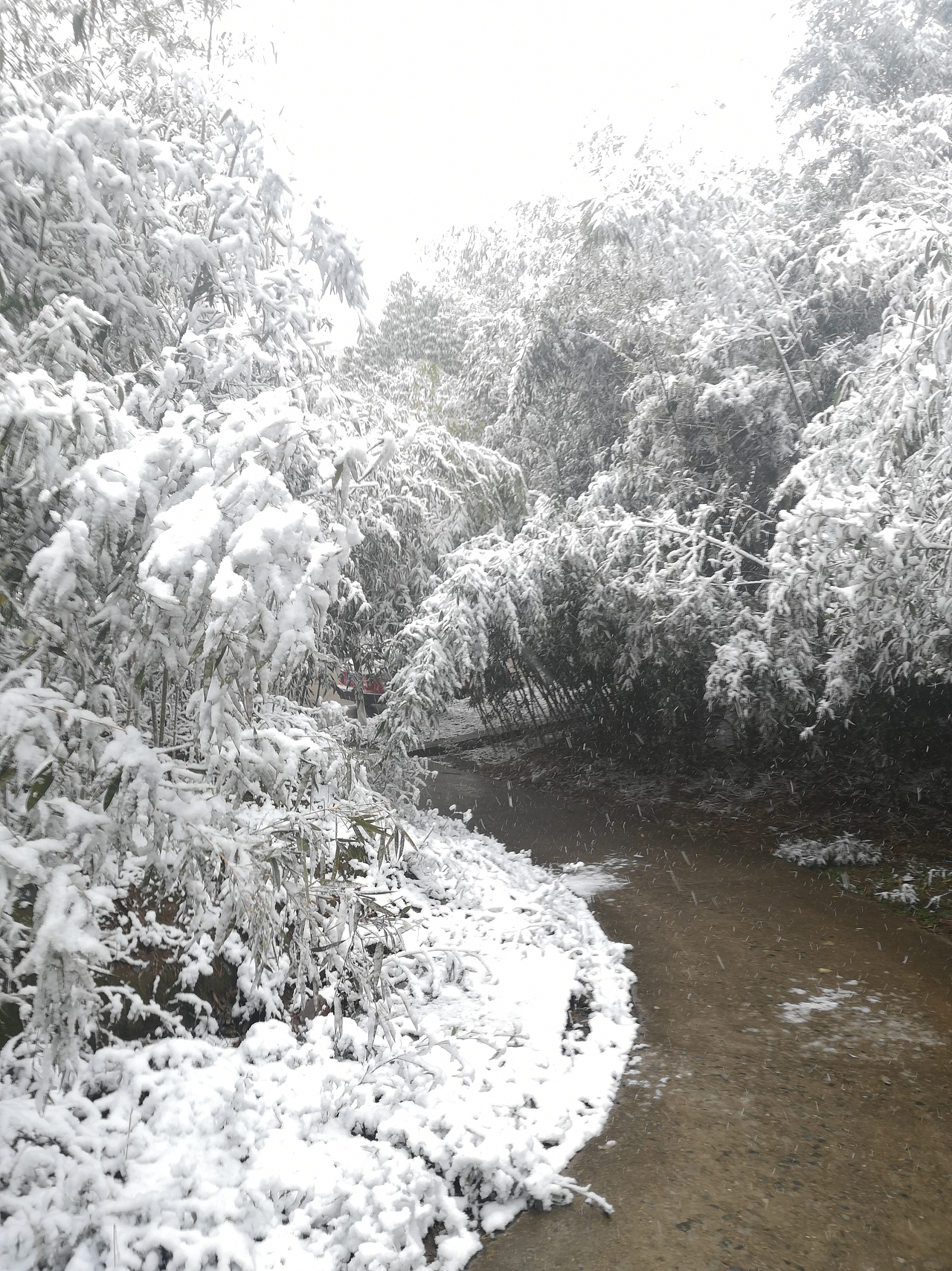 《冬》（图ZMjQxMTI4NDA4） - 风光摄影 - 站酷设计师Noahguo原创素材 - 站酷ZCOOL