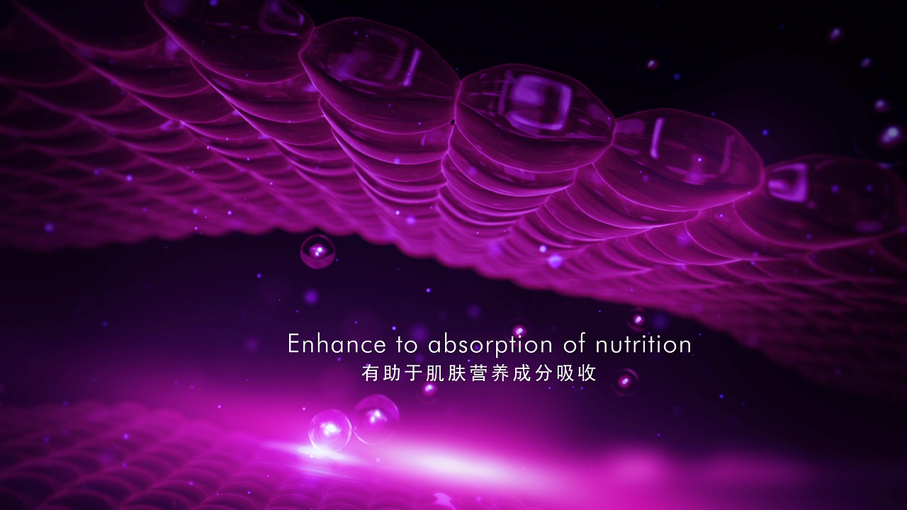 CONTENT / 新产品发布会视频