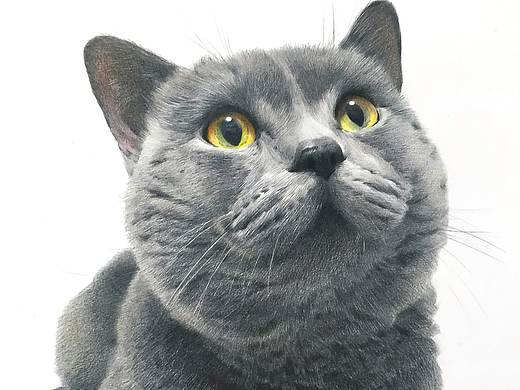 彩铅`步骤`猫星人—《枪》