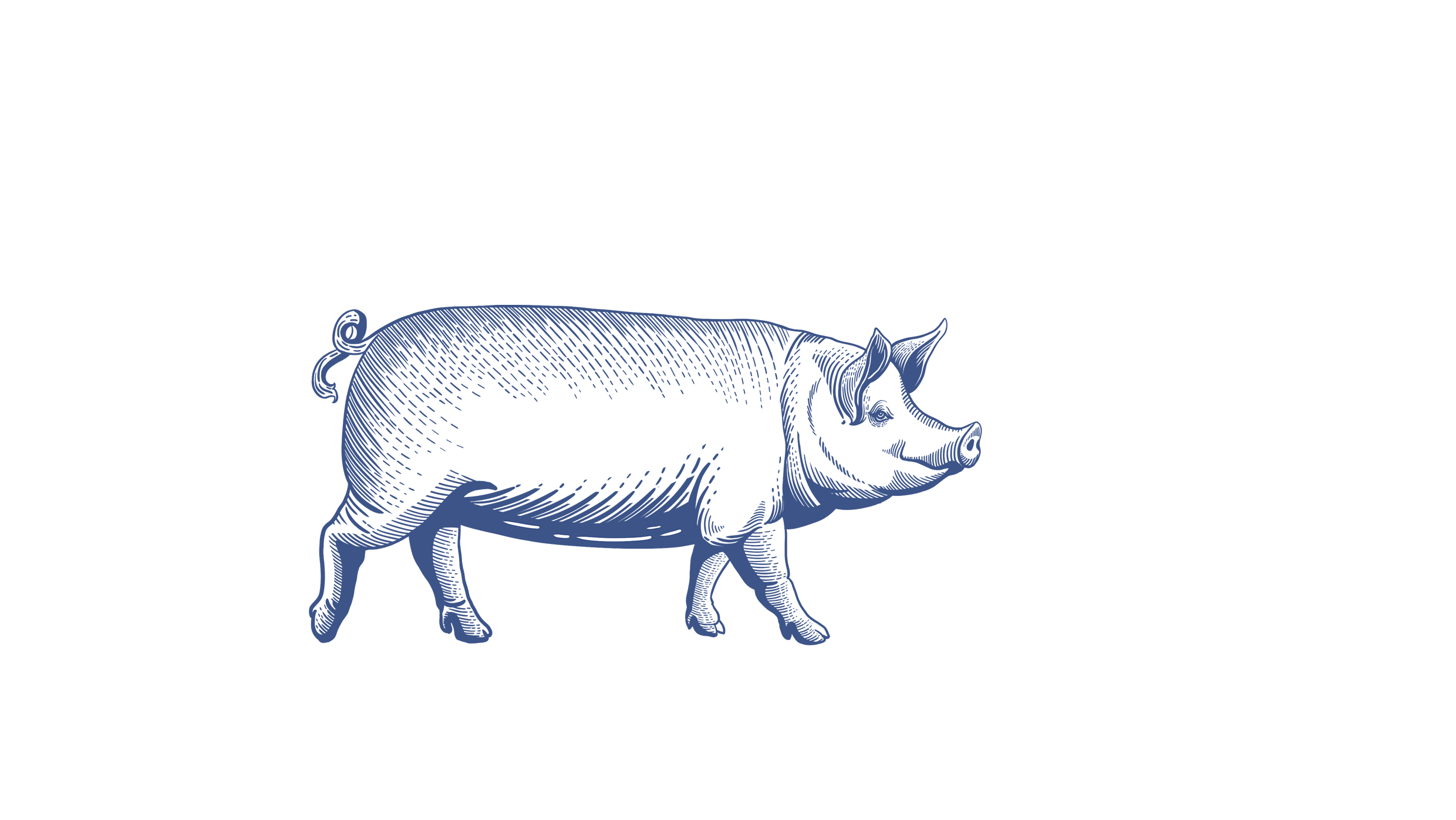 食尚加 | 肉类品牌包装设计【原创】(图ZMjI5ODg0MDk2) - 包装 - 站酷设计师菩示熊品牌设计原创素材 - 站酷ZCOOL