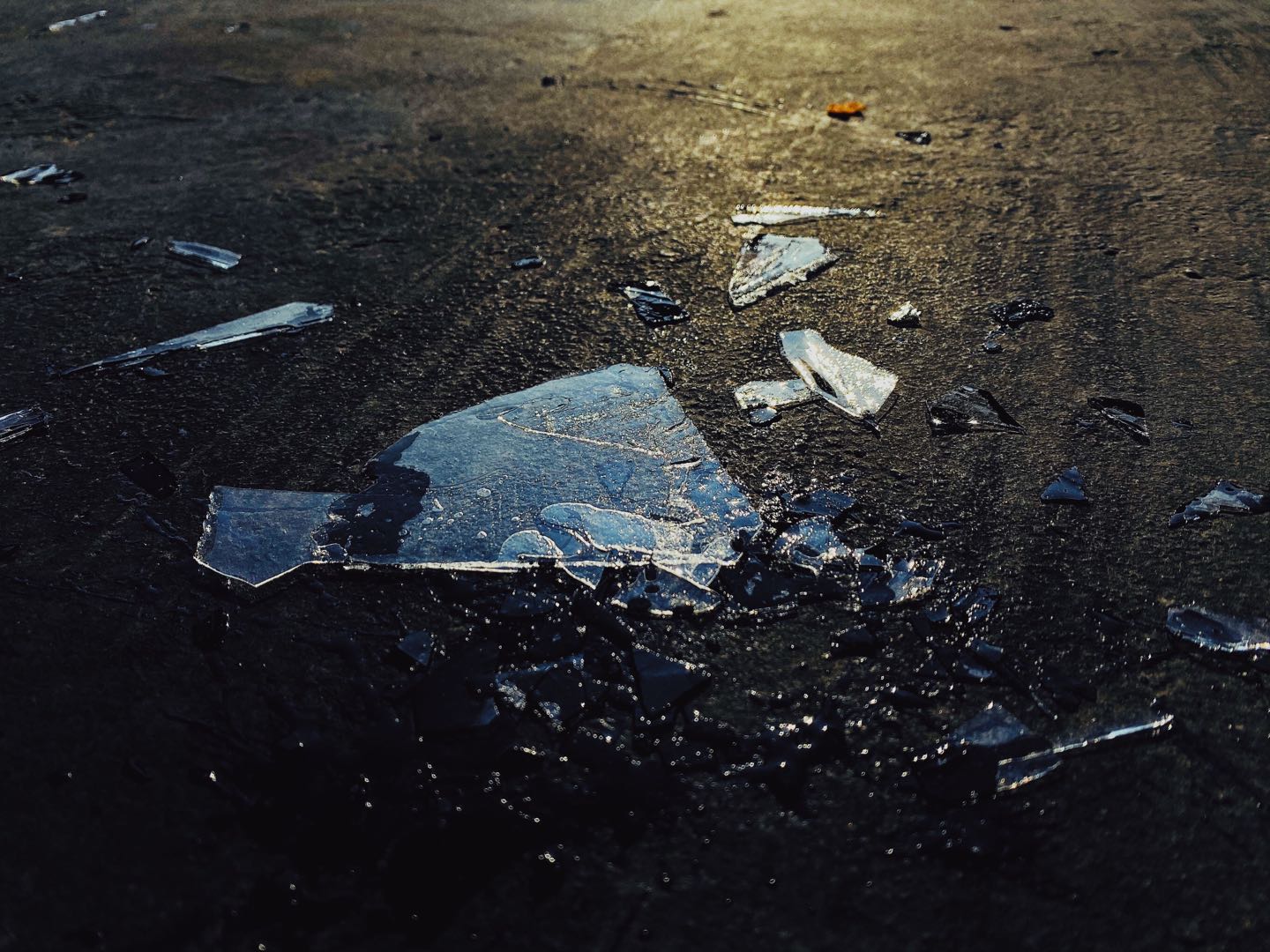 LEMONMANG的个人主页（背景预览） - 主页背景设置 - 站酷设计师LEMONMANG原创素材 - 站酷ZCOOL