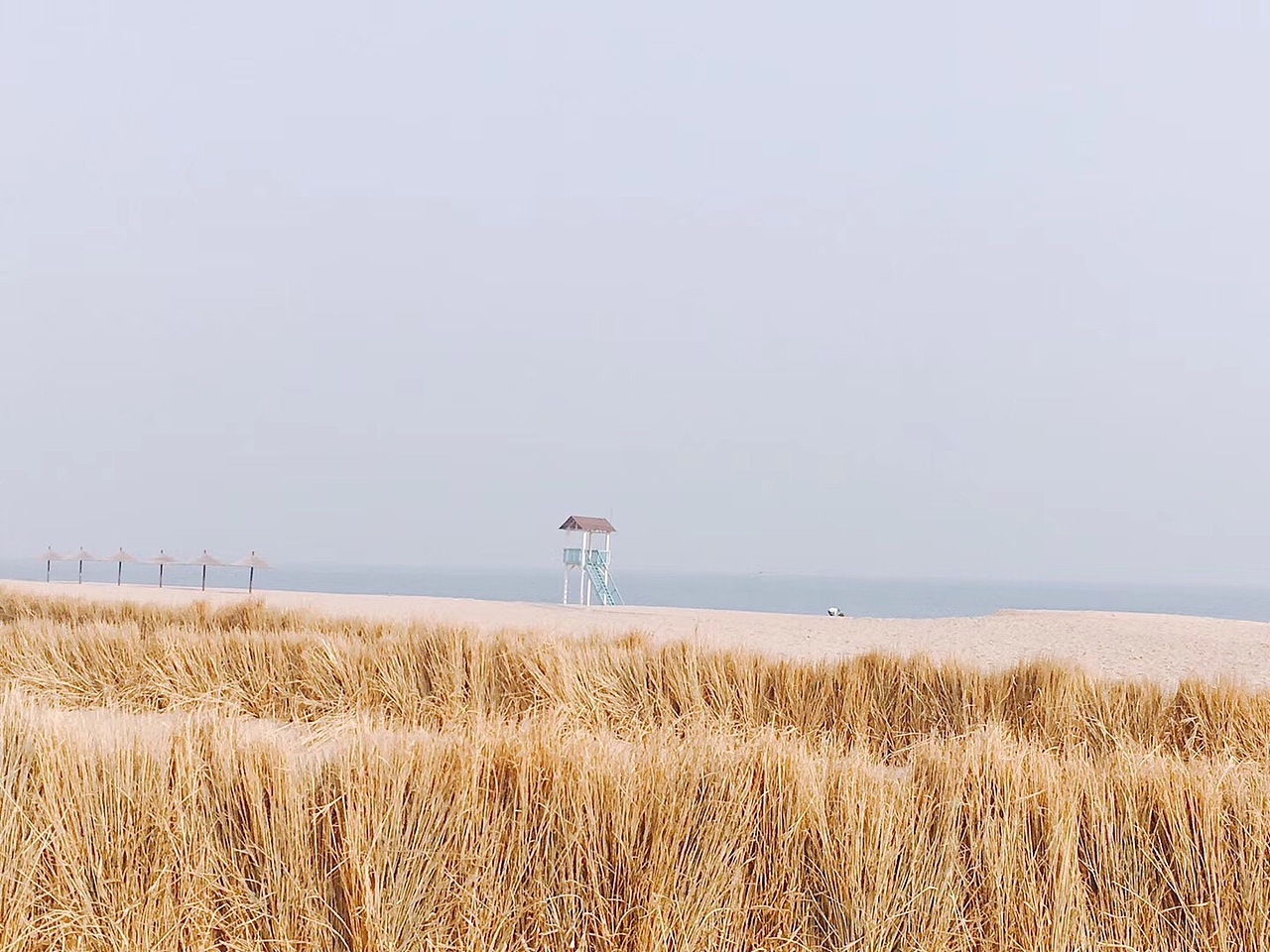 Anaya（圖ZMTY1NjQ5NDg4） - 人文/紀(jì)實攝影 - 站酷設(shè)計師墨西哥燒馕原創(chuàng)素材 - 站酷ZCOOL