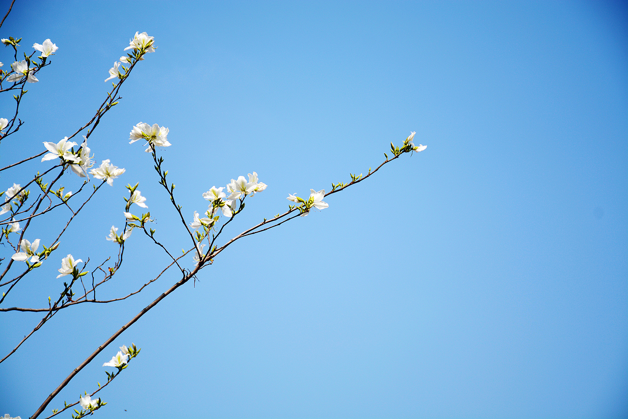 冬日晴天（圖ZMTA0NDQ4MTI4） - 風(fēng)光攝影 - 站酷設(shè)計師門泥原創(chuàng)素材 - 站酷ZCOOL