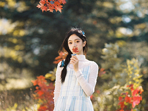 秋天🍁蝴蝶🦋和胶片🎞️
