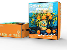 柑橘包裝設(shè)計