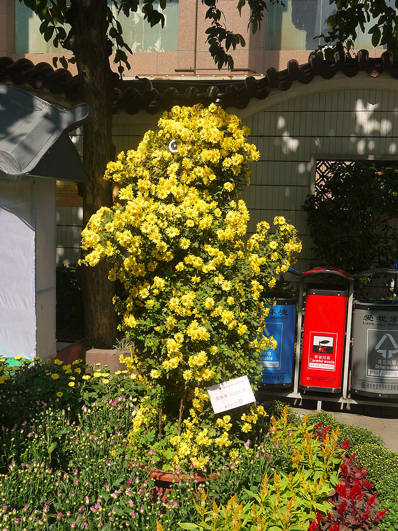 十二生肖（图ZMjE3MTgwMjQ=） - 产品摄影 - 站酷设计师hkljb原创素材 - 站酷ZCOOL