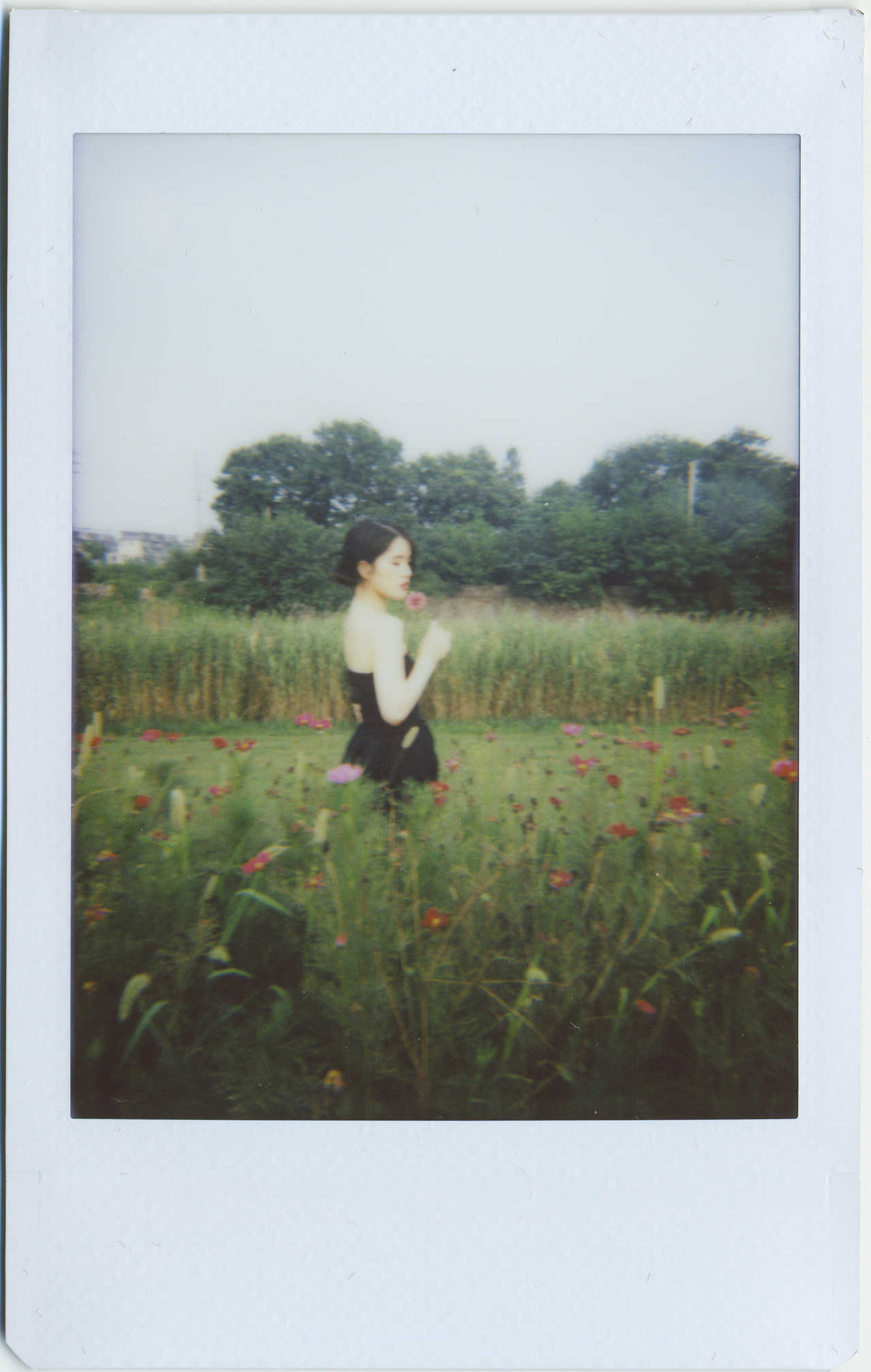 荒岛写真馆vol.1（图ZMjYxNjcyODMy） - 人像摄影 - 站酷设计师正义的小伙伴Paul原创素材 - 站酷ZCOOL