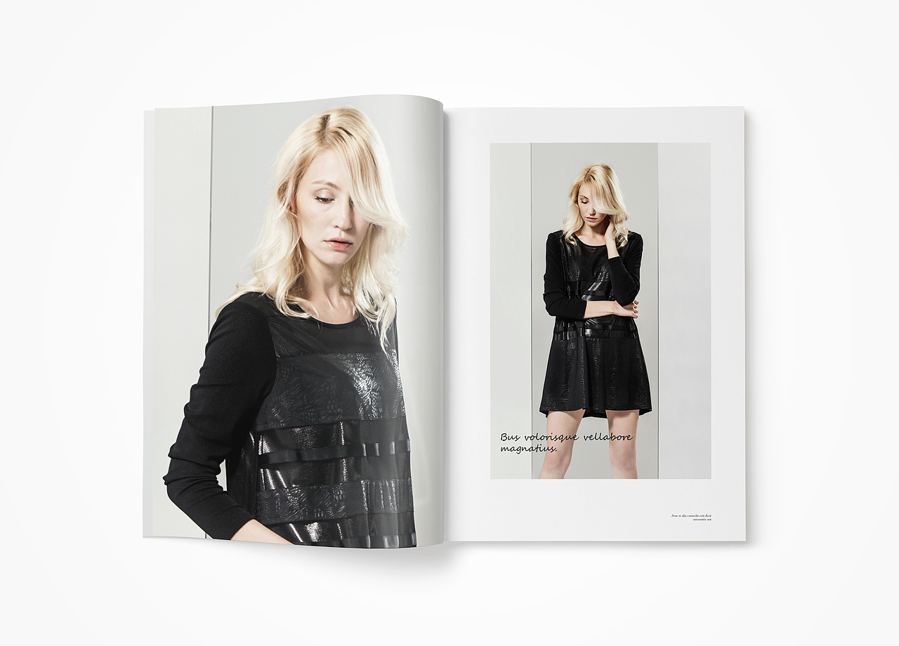 斯狄芬妮服装品牌画册