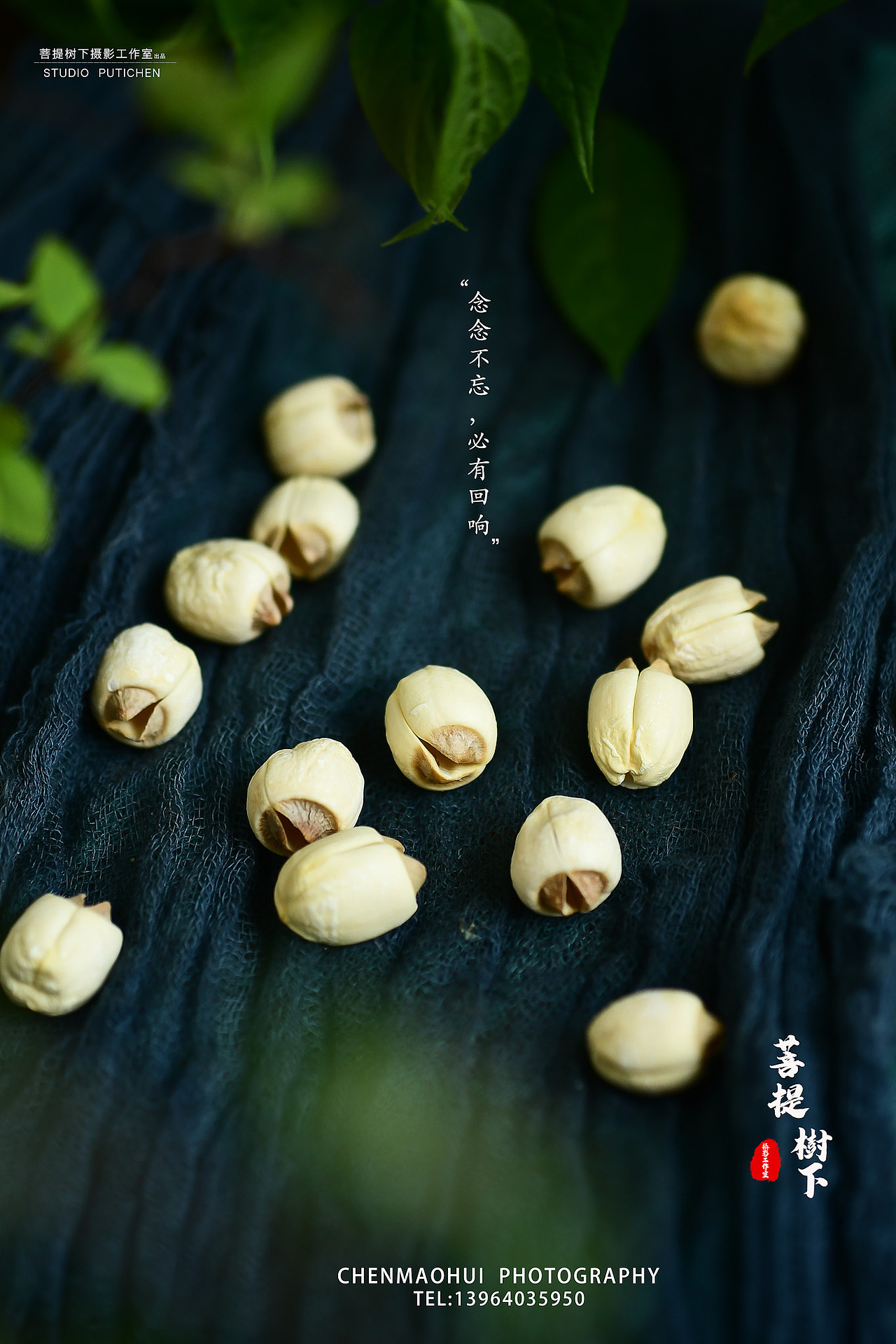莲子（图ZMjA0MTYyNjYw） - 产品摄影 - 站酷设计师摄影师陈茂辉原创素材 - 站酷ZCOOL
