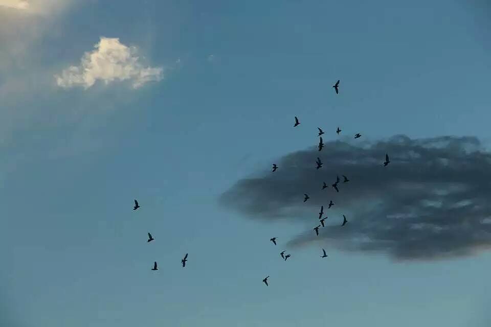 南疆阿克苏乌什县的夏天