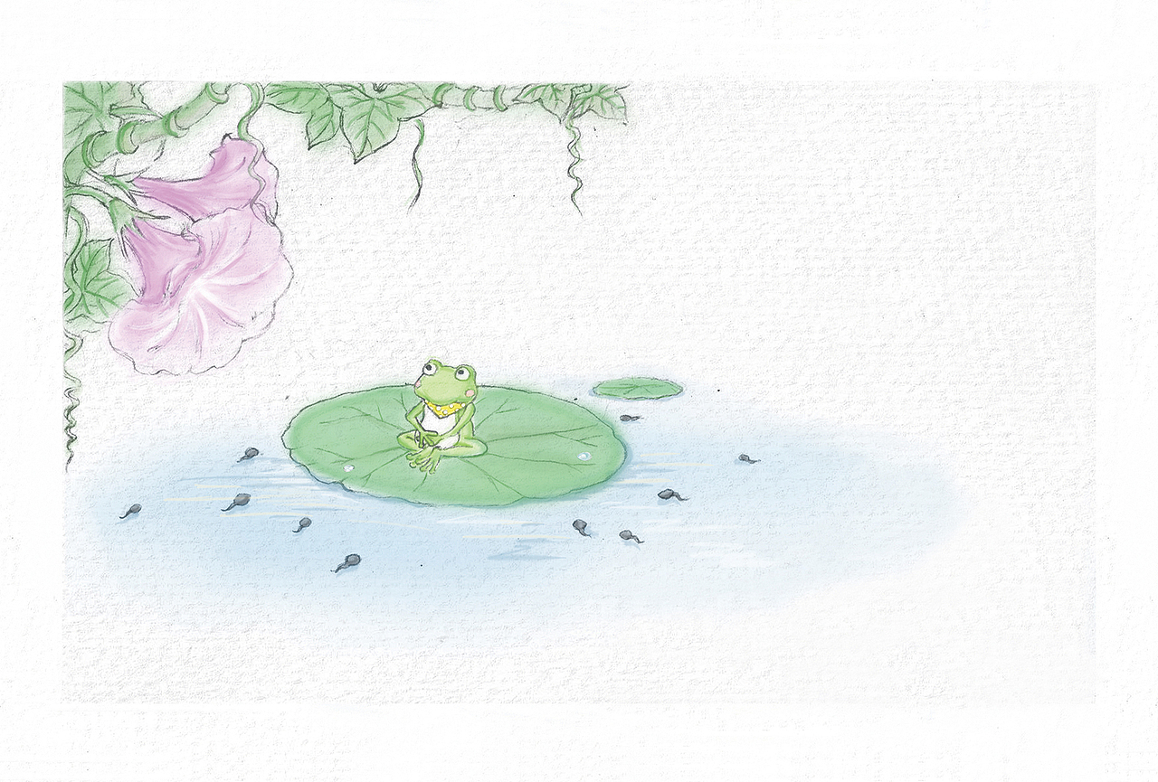 青蛙弟弟与蛤蟆大哥