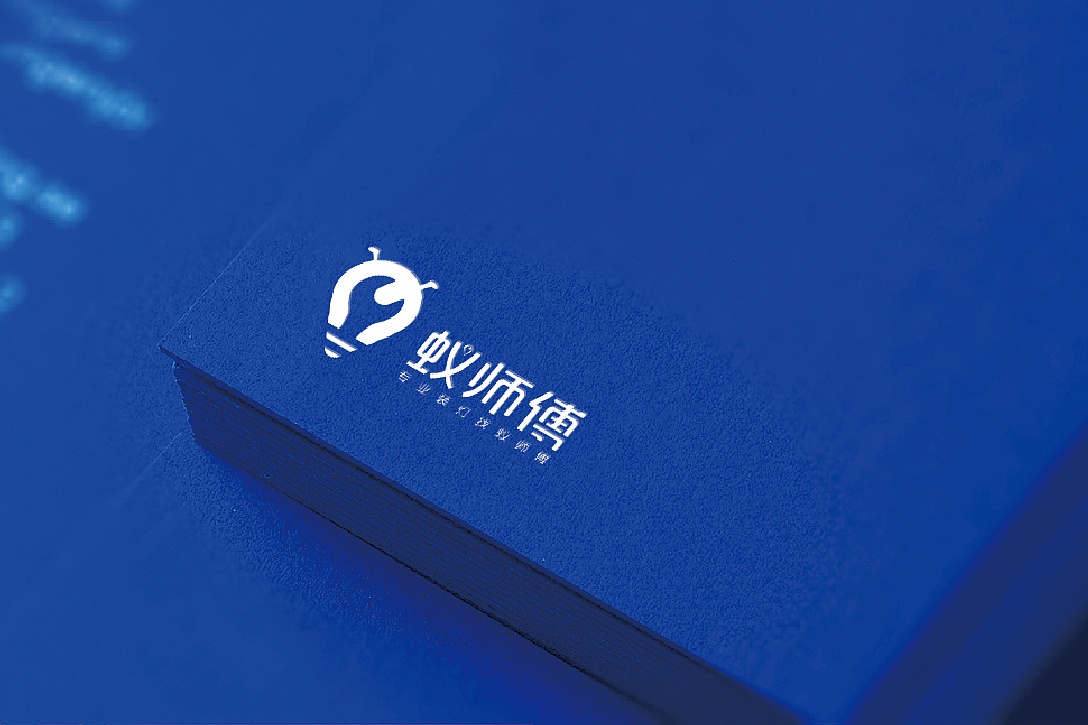蚁师傅 | 标志设计提报方案