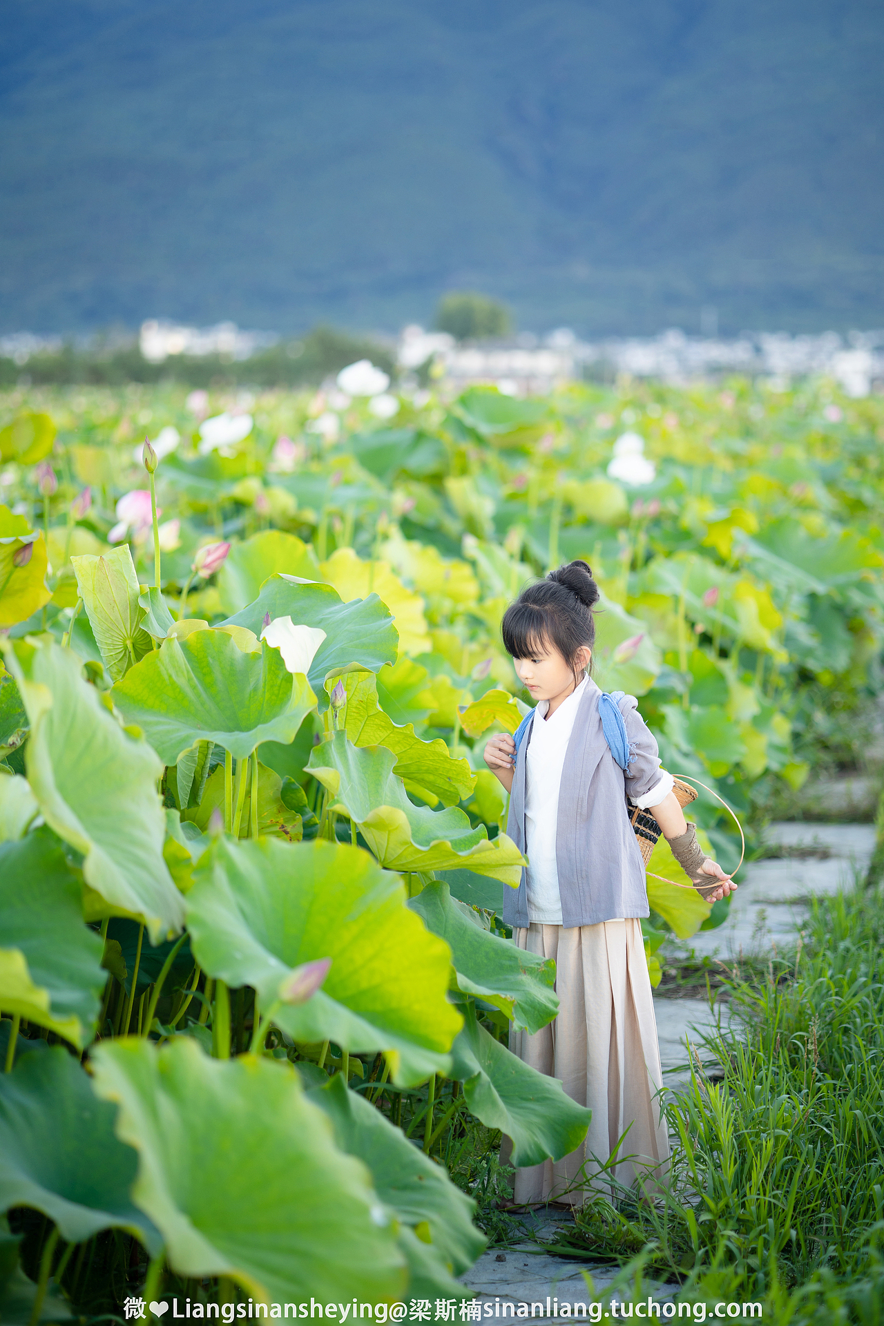 夏荷（图ZMjYyNzk2NDQ4） - 人像摄影 - 站酷设计师梁斯楠原创素材 - 站酷ZCOOL