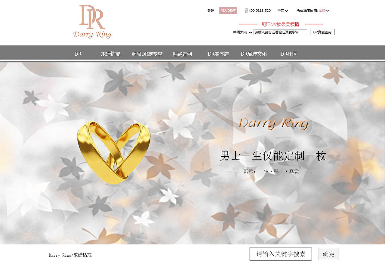 DR网站首页（图ZMzcxMDkwNDQ=） - 企业官网 - 站酷设计师昔日的阳光原创素材 - 站酷ZCOOL