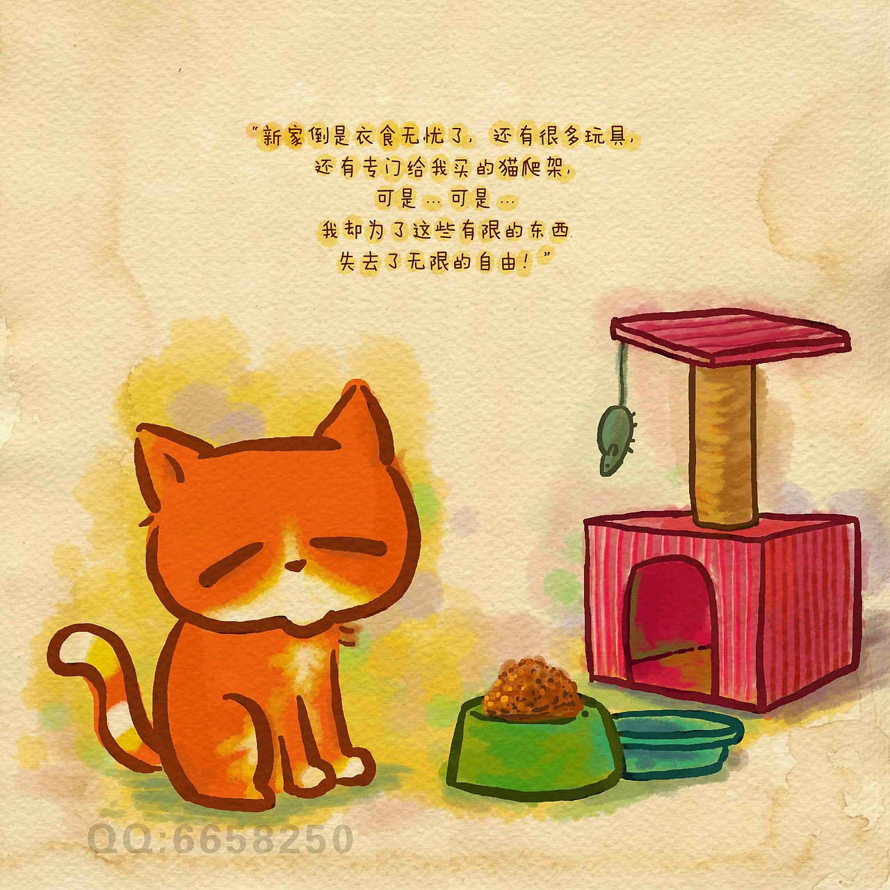 《猫言猫语前传第一季》当毛毛还是一只真猫的时候