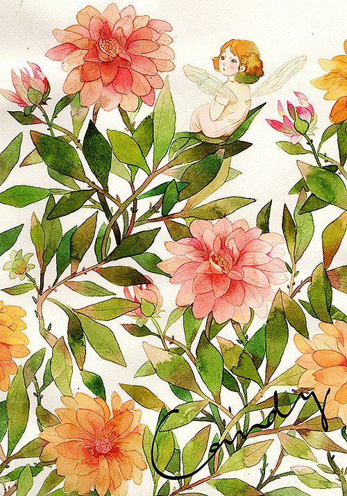 《candy田 生如夏花》