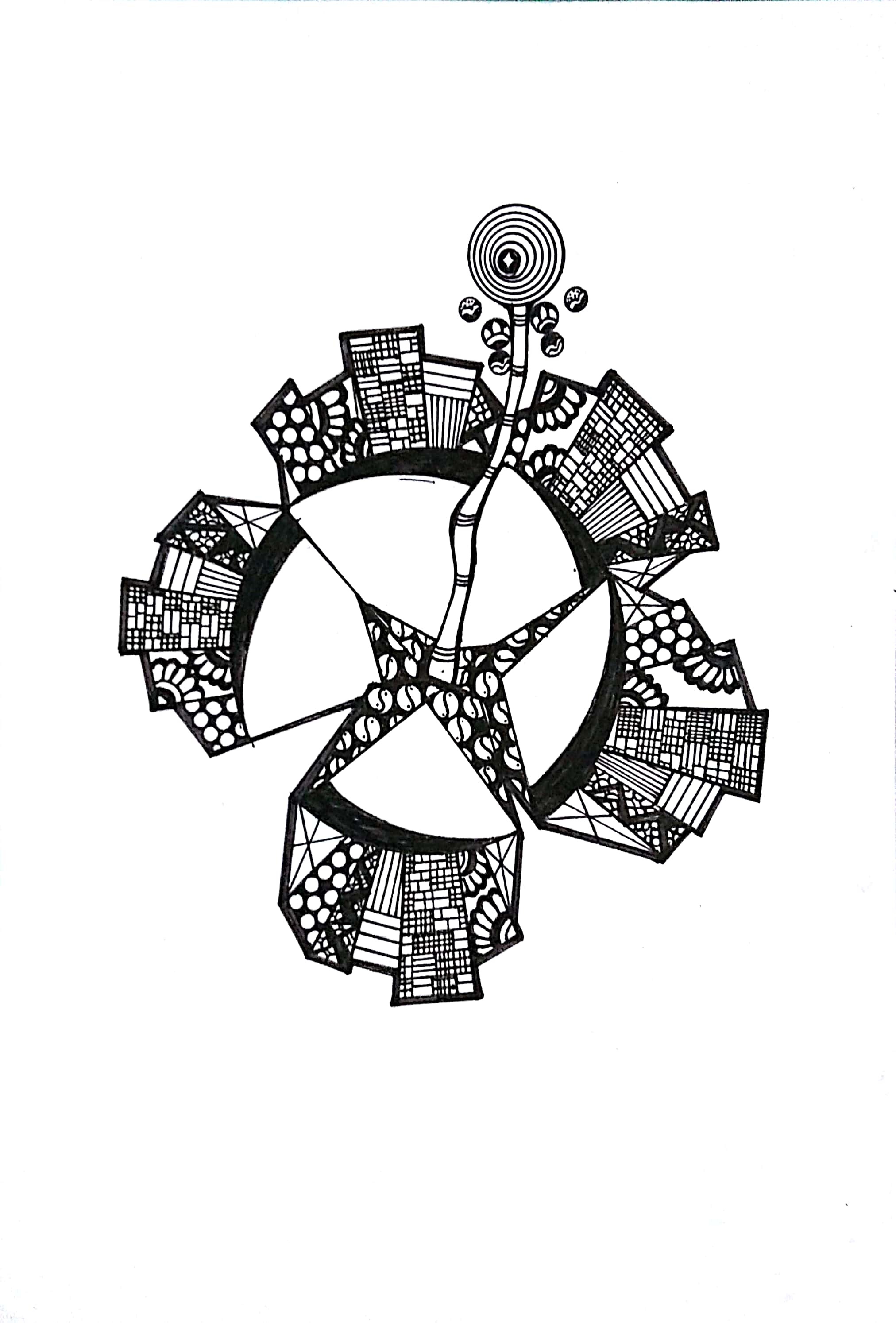 扶桑花――花卉练习