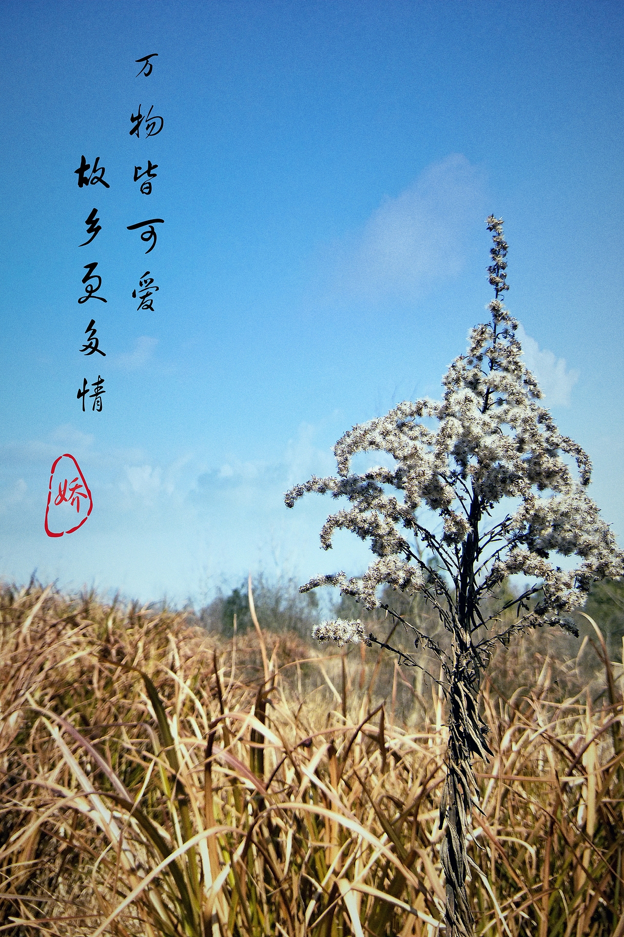 小愛(ài)好（圖ZMjAyNjkyODIw） - 風(fēng)光攝影 - 站酷設(shè)計(jì)師夏落小嬌原創(chuàng)素材 - 站酷ZCOOL