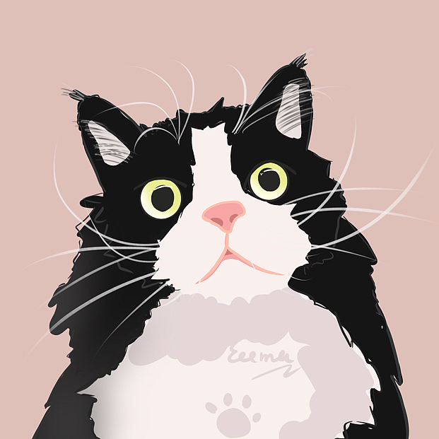 猫咪（图ZMzI0NDIyMjY4） - 创作习作 - 站酷设计师EeemaQT原创素材 - 站酷ZCOOL