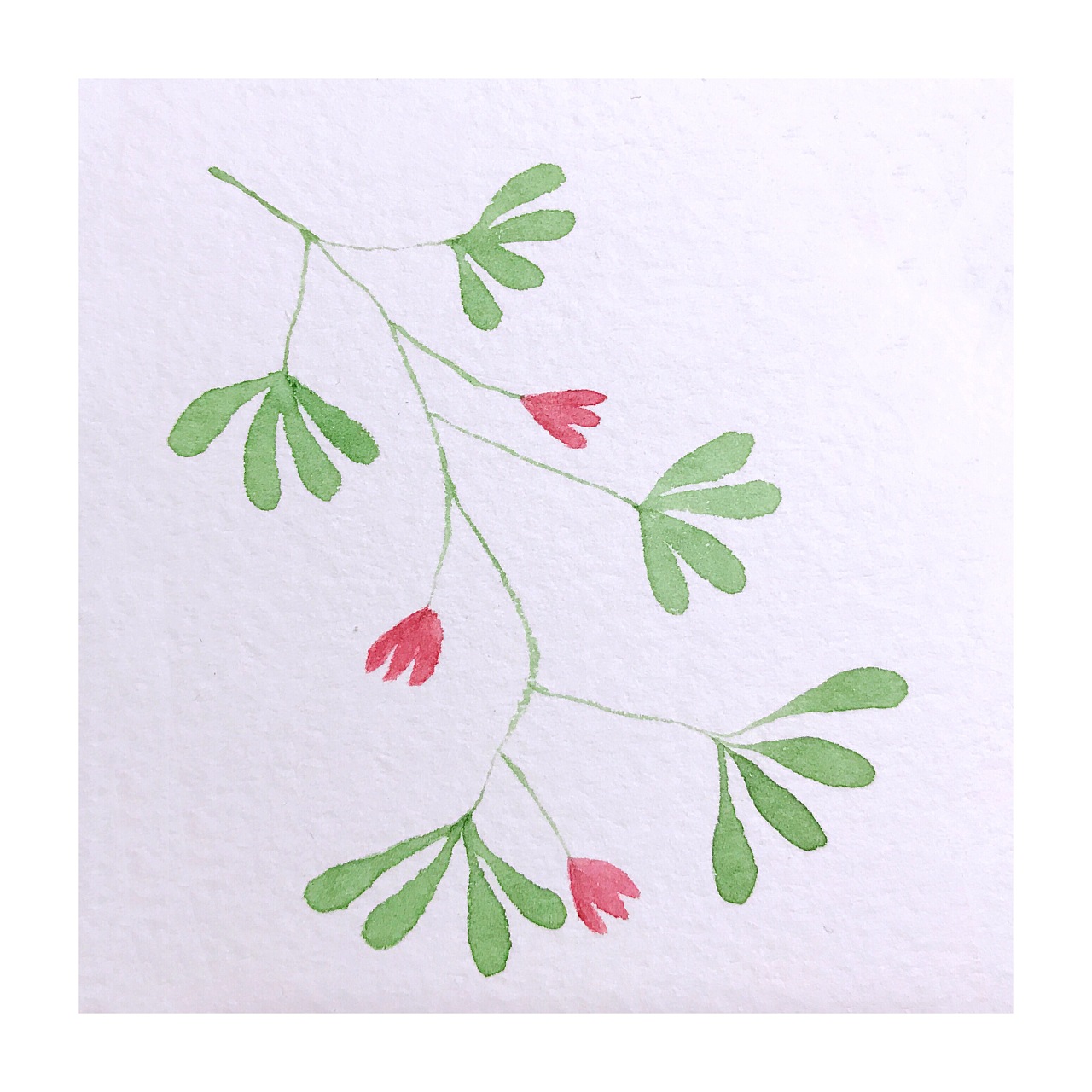 【芒果】水彩植物