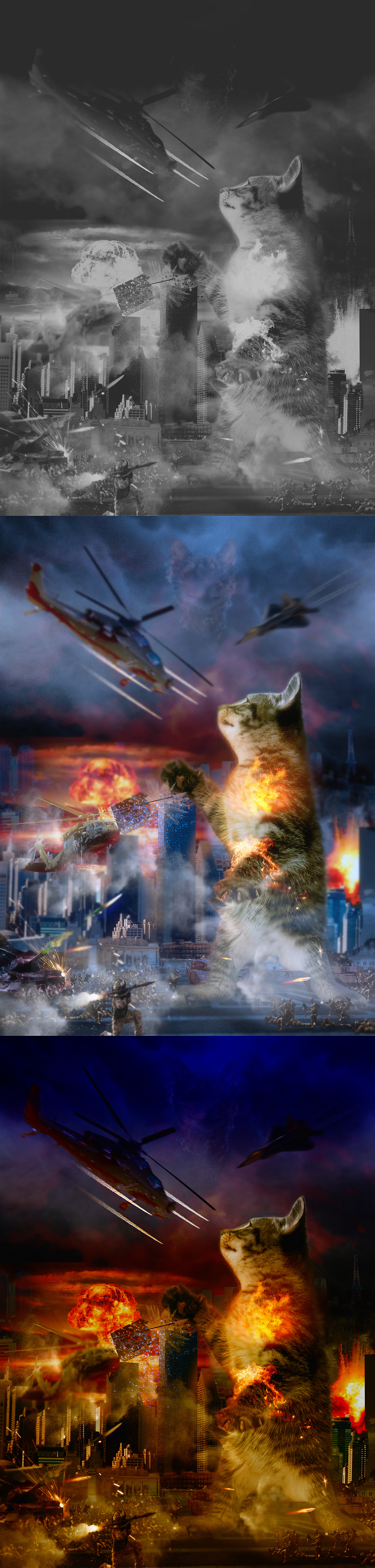 外星猫闯入地球