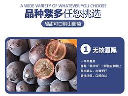 葡萄专题页临摹图