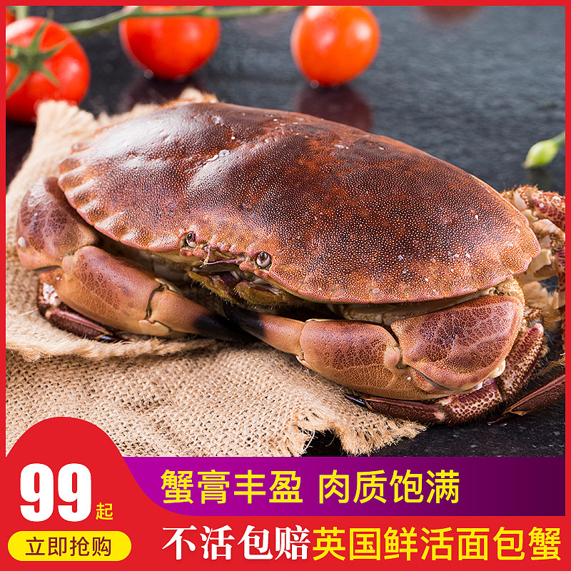 主图类型（图ZMTg0OTEyNjY0） - 海报 - 站酷设计师卡密大哥哥原创素材 - 站酷ZCOOL
