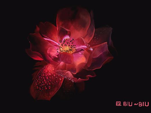 手绘 花