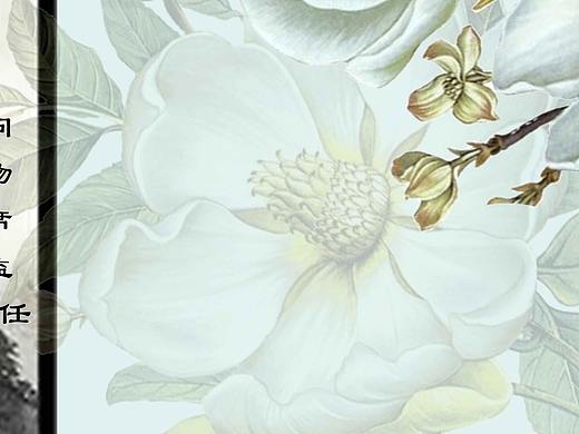 中国风人物简介