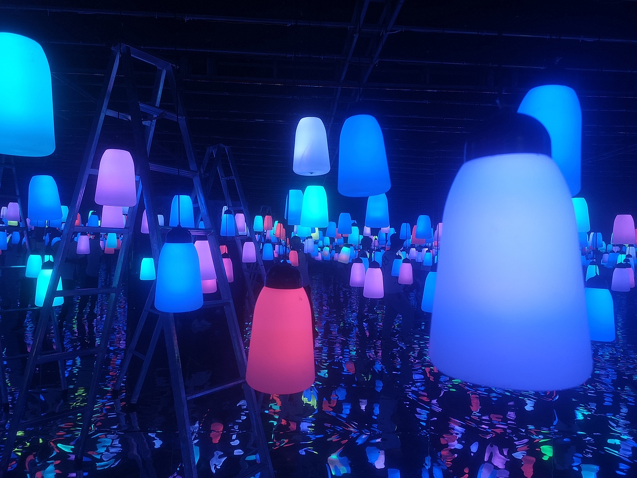 网红呼吸森林租赁 互动花海 互动鲸鱼