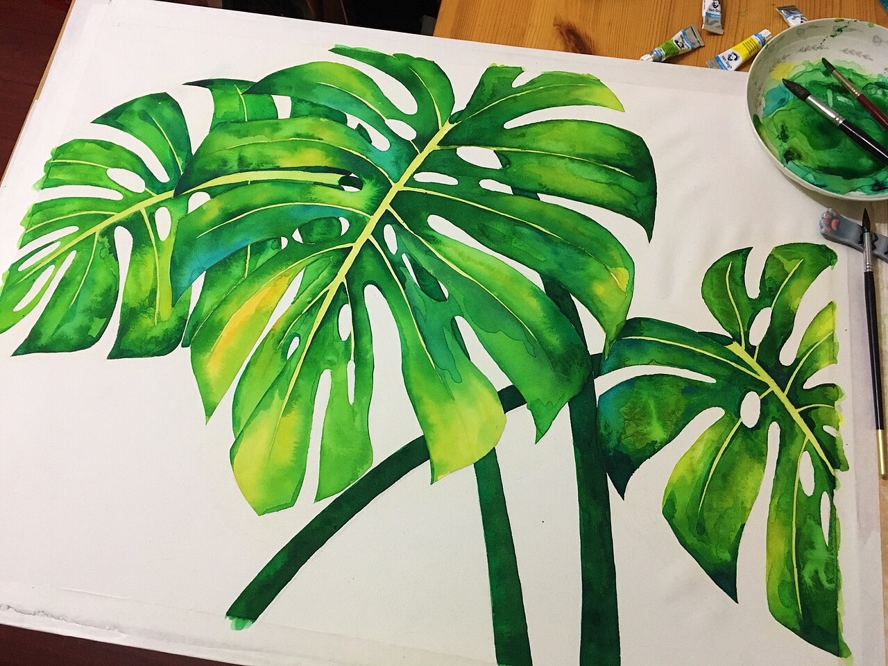 《龟背竹的夏天》|纯艺术|绘画|zimoo酱_原创作品-站酷zcool