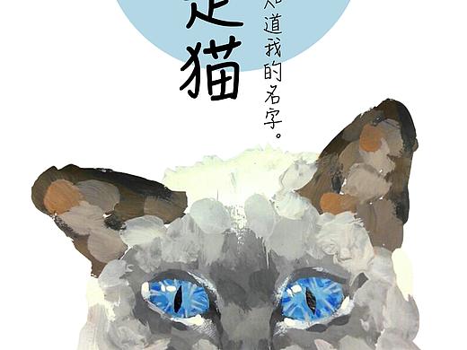 “我是猫”手绘书籍设计